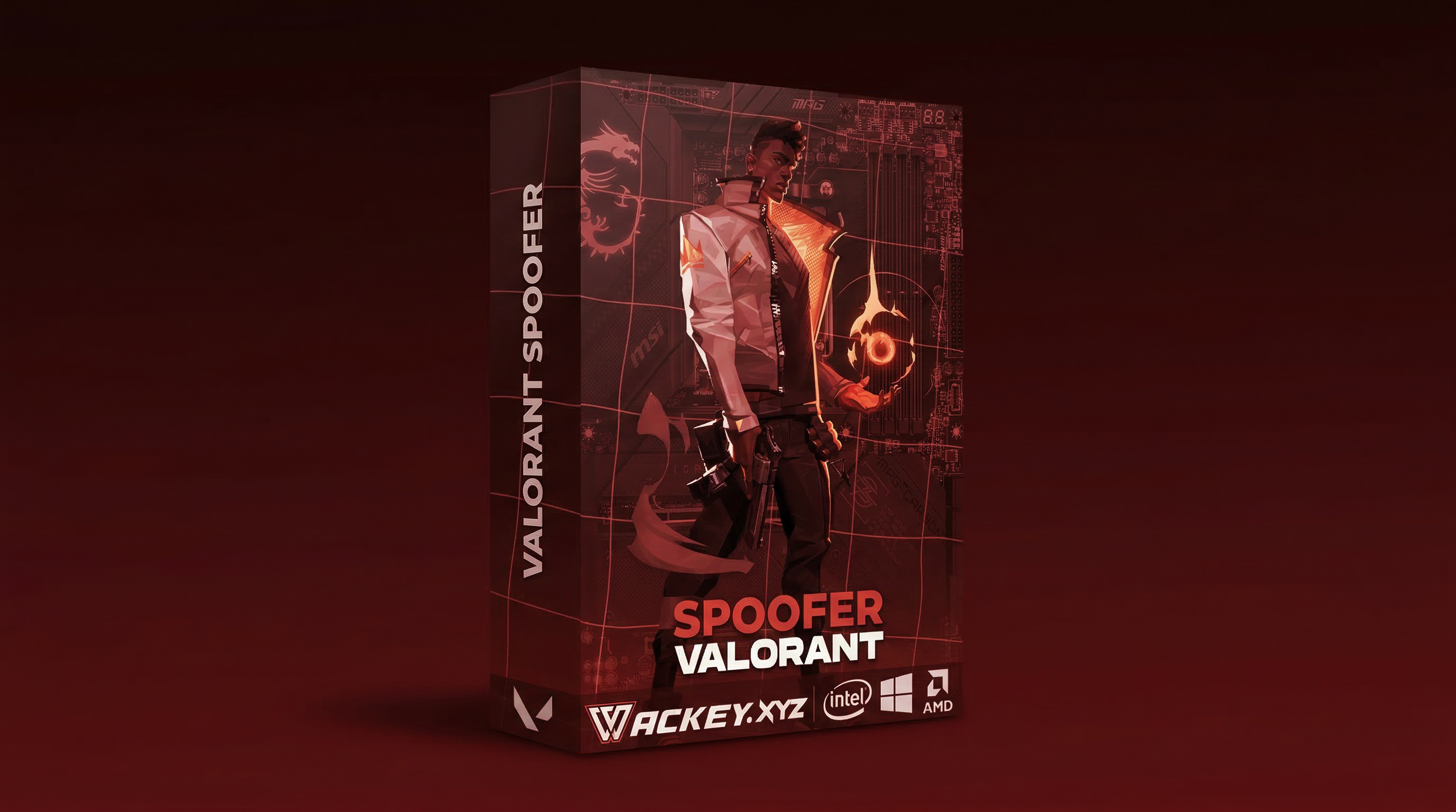 Valorant: Spoofer